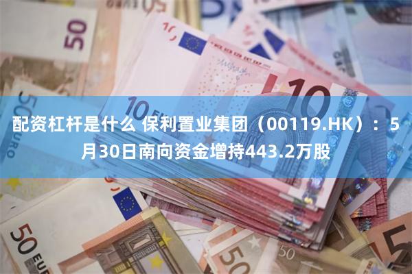 配资杠杆是什么 保利置业集团（00119.HK）：5月30日南向资金增持443.2万股