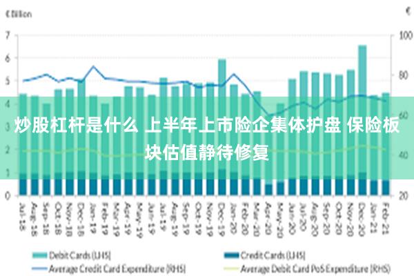 炒股杠杆是什么 上半年上市险企集体护盘 保险板块估值静待修复