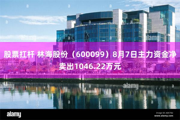 股票扛杆 林海股份（600099）8月7日主力资金净卖出1046.22万元