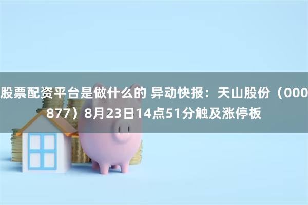 股票配资平台是做什么的 异动快报：天山股份（000877）8月23日14点51分触及涨停板