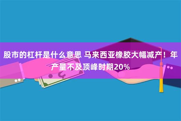 股市的杠杆是什么意思 马来西亚橡胶大幅减产！年产量不及顶峰时期20%