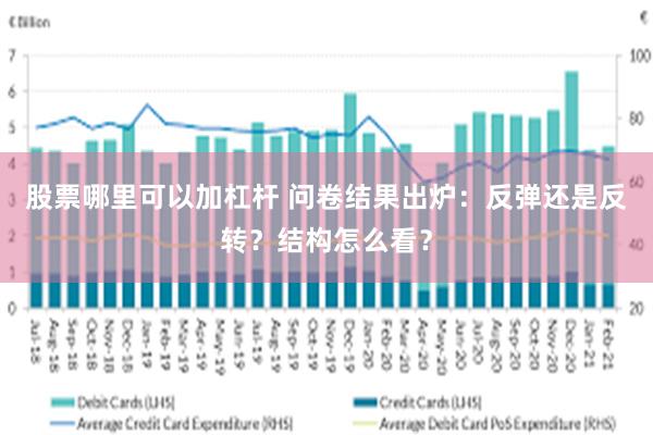 股票哪里可以加杠杆 问卷结果出炉：反弹还是反转？结构怎么看？