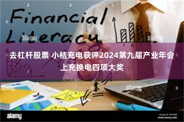 去杠杆股票 小桔充电获评2024第九届产业年会上充换电四项大奖