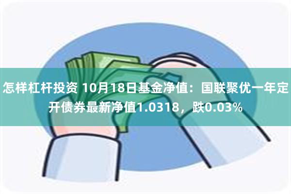 怎样杠杆投资 10月18日基金净值：国联聚优一年定开债券最新净值1.0318，跌0.03%