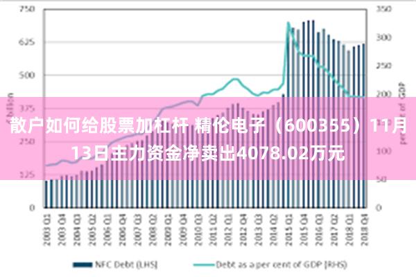 散户如何给股票加杠杆 精伦电子（600355）11月13日主力资金净卖出4078.02万元