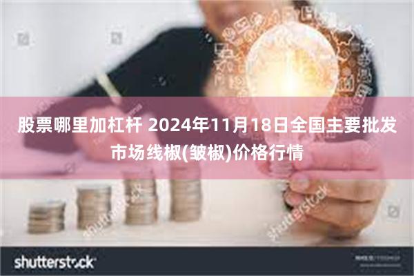 股票哪里加杠杆 2024年11月18日全国主要批发市场线椒(皱椒)价格行情