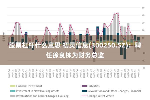 股票杠杆什么意思 初灵信息(300250.SZ)：聘任徐良栋为财务总监