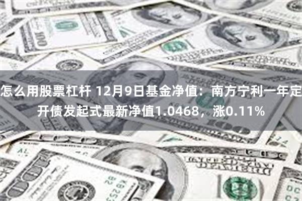 怎么用股票杠杆 12月9日基金净值：南方宁利一年定开债发起式最新净值1.0468，涨0.11%