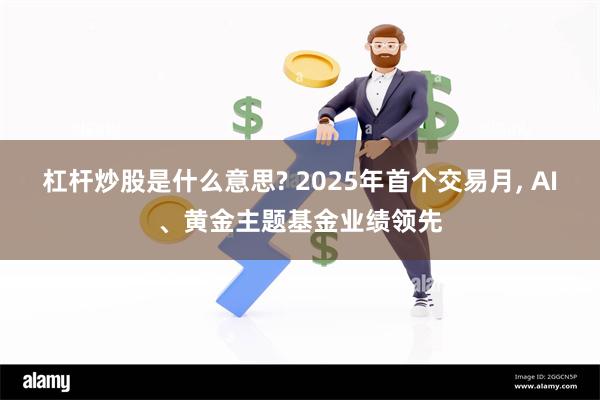 杠杆炒股是什么意思? 2025年首个交易月, AI、黄金主题基金业绩领先